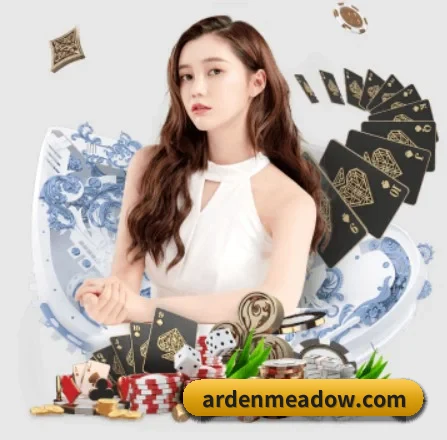 规模扩大 - 用户数量爆发式增长,与多家国际知名内容服务商达成深度合作。